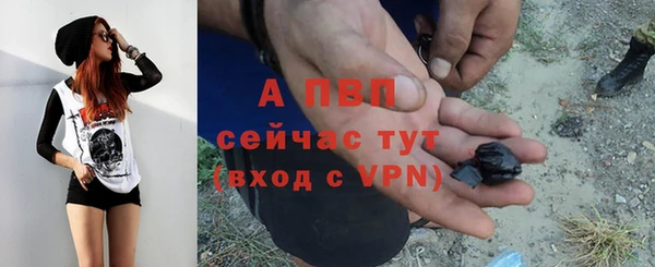 ПСИЛОЦИБИНОВЫЕ ГРИБЫ Зеленодольск