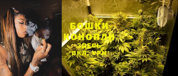 ПСИЛОЦИБИНОВЫЕ ГРИБЫ Зеленодольск