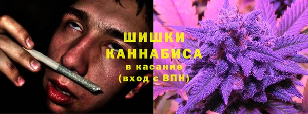шишки Зерноград