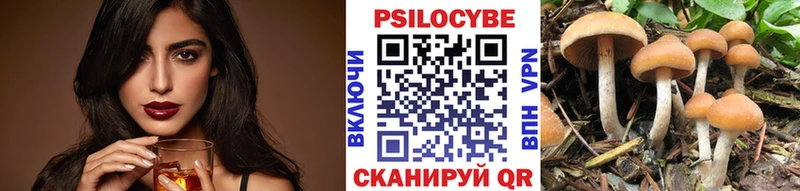 Купить где Зерноград Псилоцибиновые грибы Cubensis
